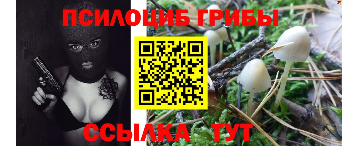 Галлюциногенные грибы Magic Shrooms Балахна