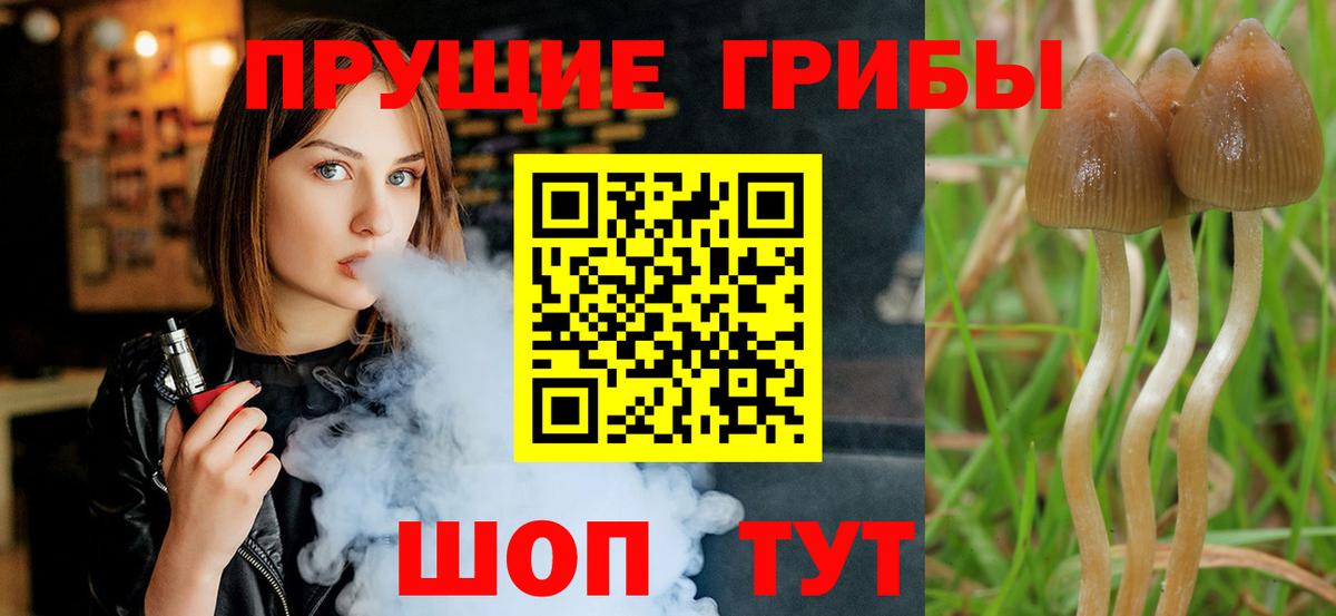 Балахна  Псилоцибиновые грибы ЛСД  Вход с VPN 